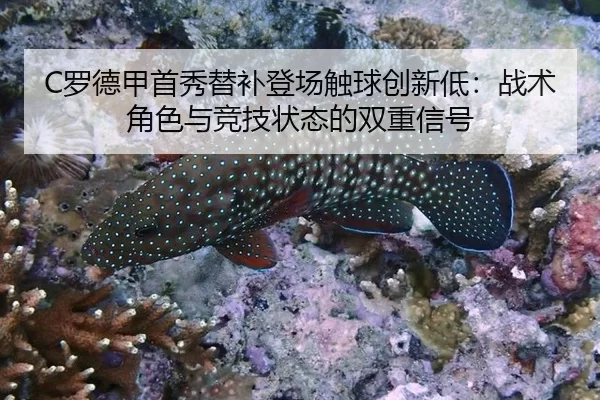 C罗德甲首秀替补登场触球创新低：战术角色与竞技状态的双重信号