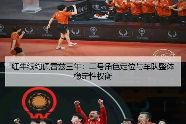 hong-niu-xu-yue-pei-lei-zi-san-nian-er-hao-jiao-se-ding-wei-yu-che-dui-zheng-ti-wen-ding-xing-quan-heng-3-861.jpg